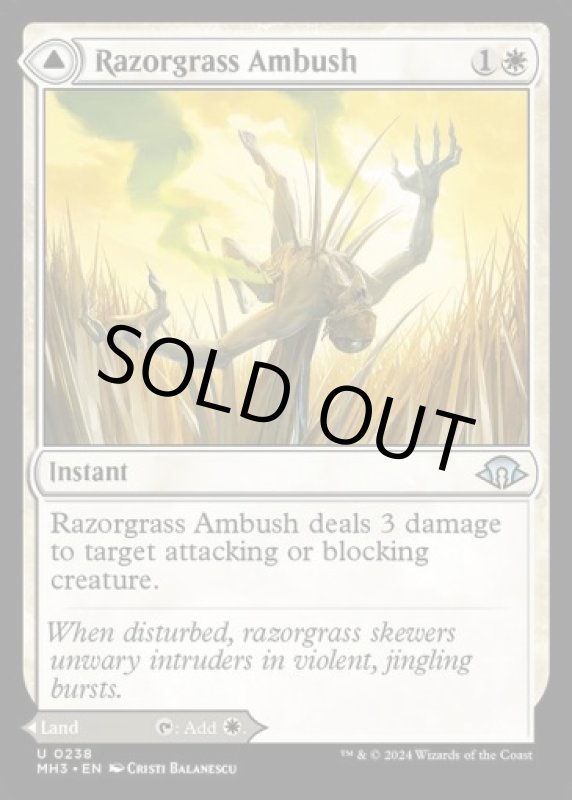 画像2: 剃刀草の待ち伏せ/Razorgrass Ambush (2)