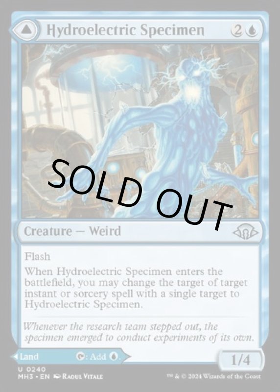 画像2: 水力発電の検体/Hydroelectric Specimen (2)