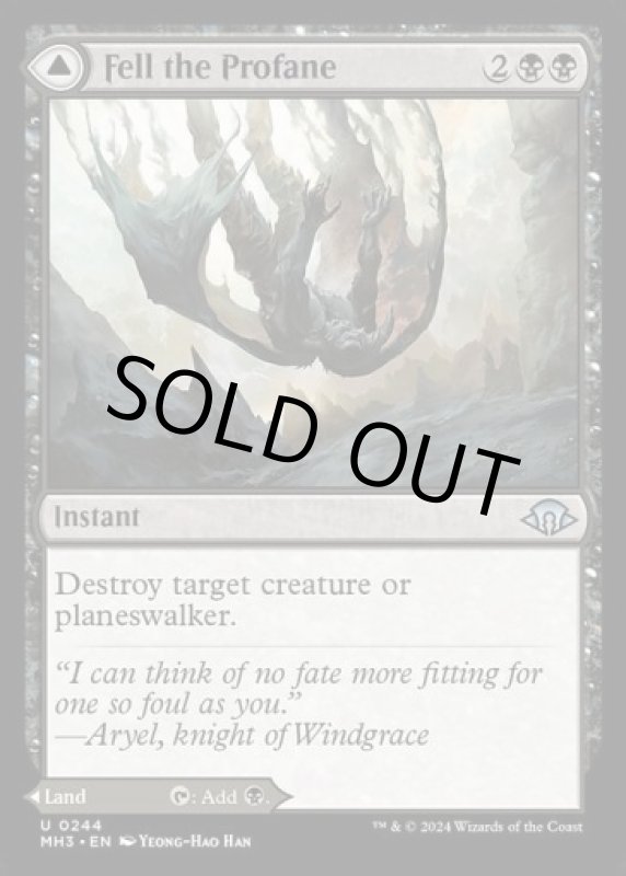 画像2: 不敬者破り/Fell the Profane (2)