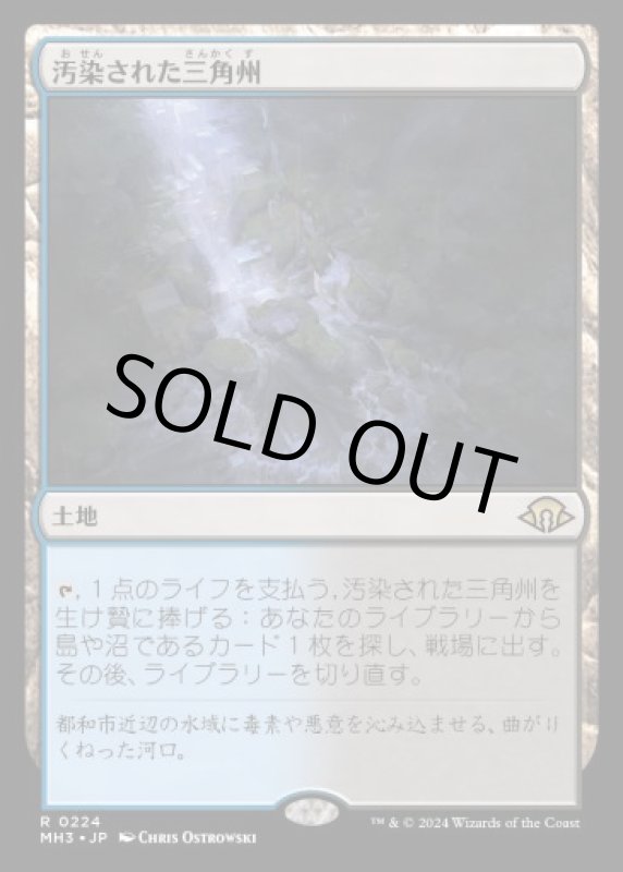 画像1: 汚染された三角州/Polluted Delta (1)