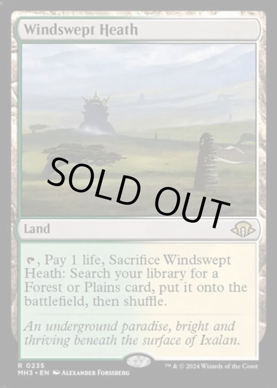 画像2: 吹きさらしの荒野/Windswept Heath (2)