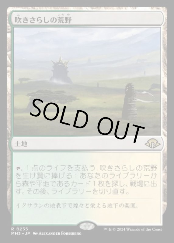 画像1: 吹きさらしの荒野/Windswept Heath (1)