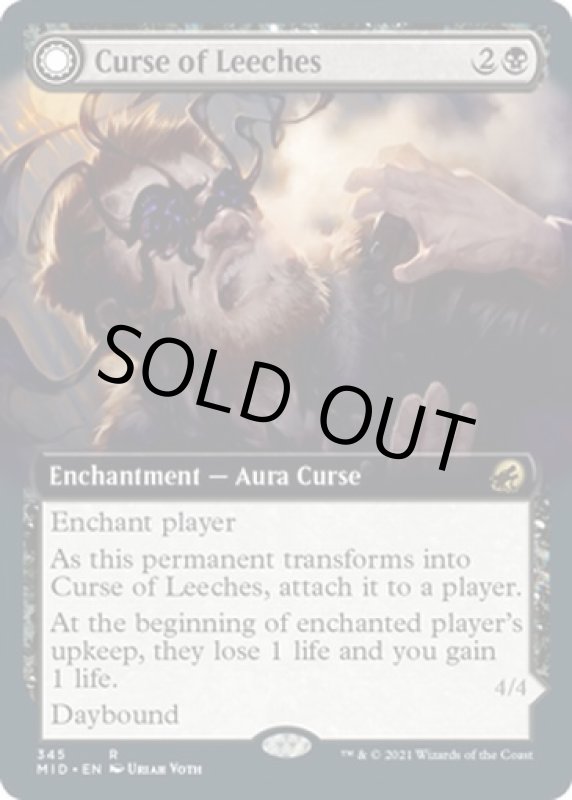 画像3: 【拡張】ヒルの呪い/Curse of Leeches (3)