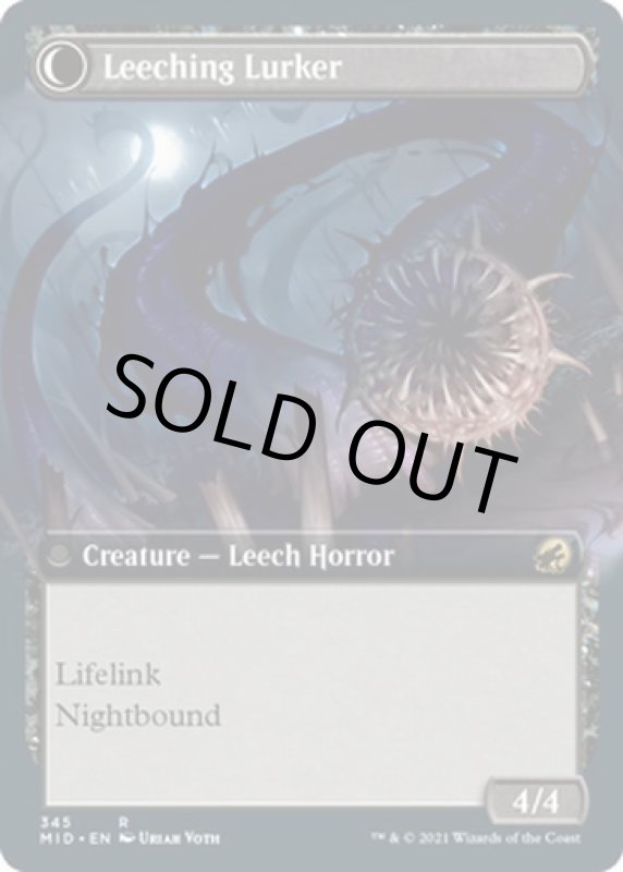 画像4: 【拡張】ヒルの呪い/Curse of Leeches (4)