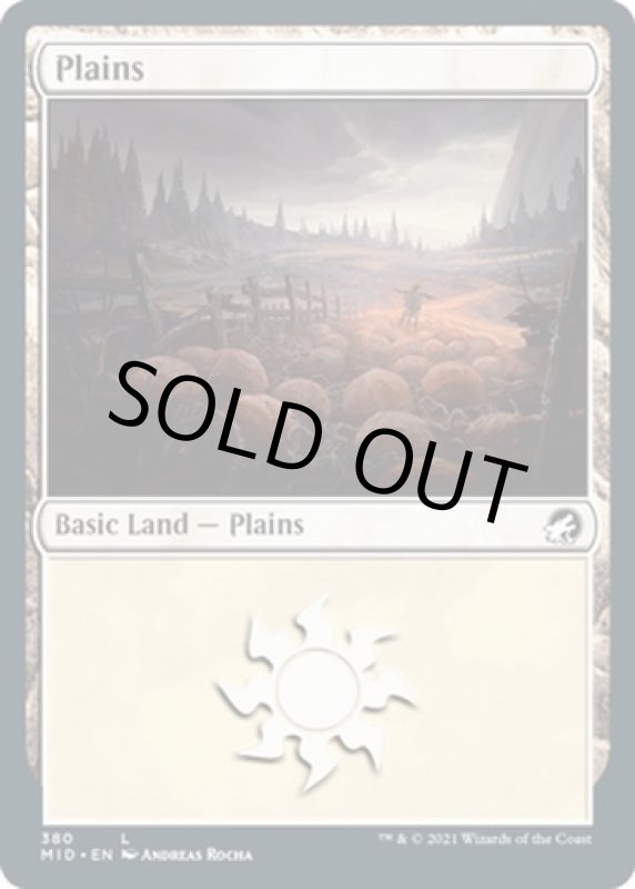 画像2: 平地/Plains (2)