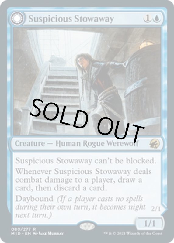 画像3: 怪しげな密航者/Suspicious Stowaway (3)