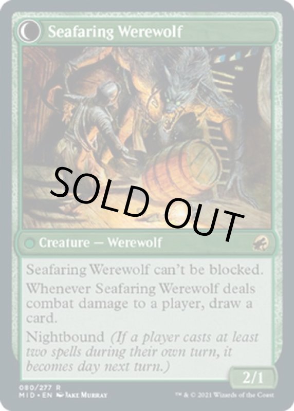 画像4: 怪しげな密航者/Suspicious Stowaway (4)