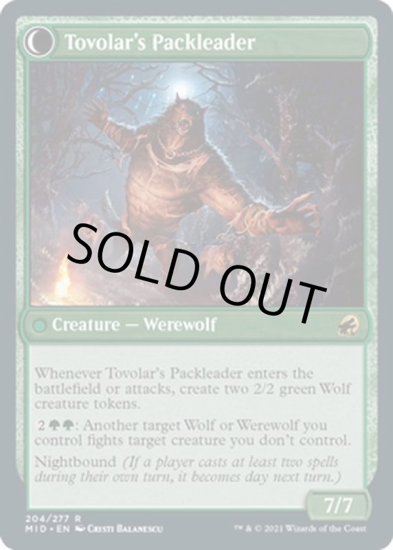 画像4: トヴォラーの猟匠/Tovolar's Huntmaster (4)