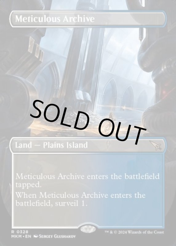 画像2: 【ボーダーレス】行き届いた書庫/Meticulous Archive (2)