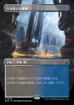 画像1: 【ボーダーレス】行き届いた書庫/Meticulous Archive (1)