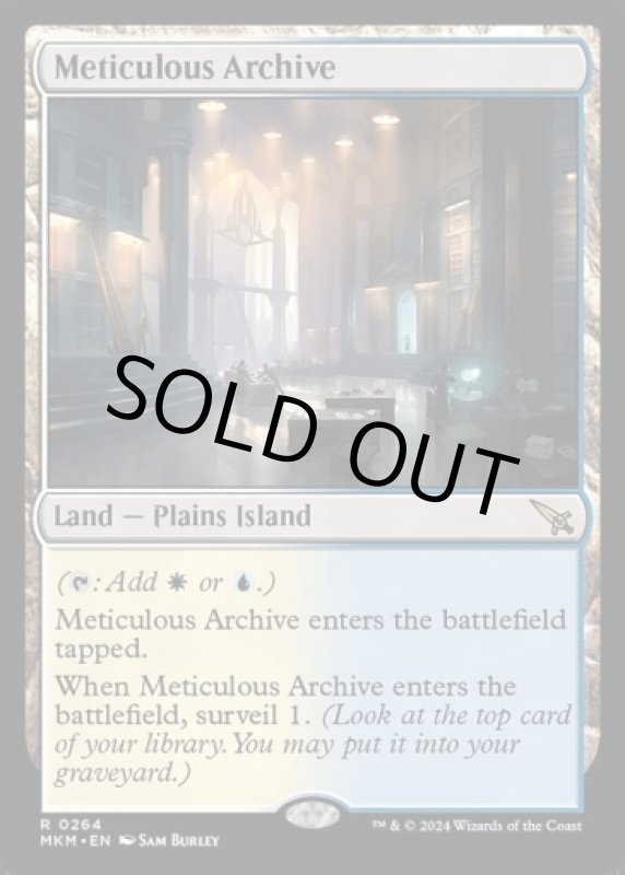 画像2: 行き届いた書庫/Meticulous Archive (2)