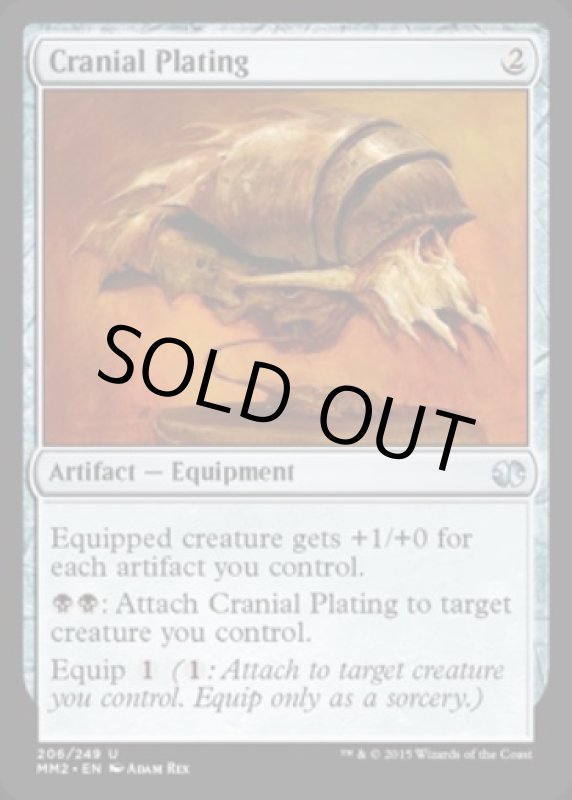 画像2: 頭蓋囲い/Cranial Plating  (2)