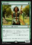 画像1: 貴族の教主/Noble Hierarch　 (1)