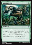 画像1: 変異原性の成長/Mutagenic Growth　 (1)