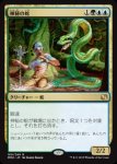 画像1: 神秘の蛇/Mystic Snake　 (1)