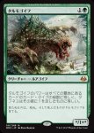 画像1: タルモゴイフ/Tarmogoyf　 (1)