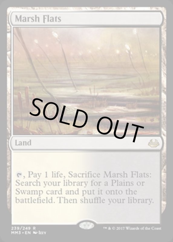 画像2: 湿地の干潟/Marsh Flats　 (2)