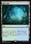 画像1: 霧深い雨林/Misty Rainforest　 (1)