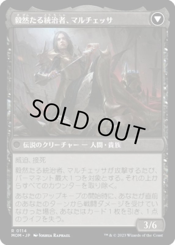 画像3: フィオーラへの侵攻/Invasion of Fiora (3)