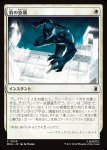 画像1: 豹の急襲/Panther Pounce (1)
