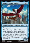 画像2: 翼を持つ戦士、ファルコン/Falcon, Winged Wonder (2)