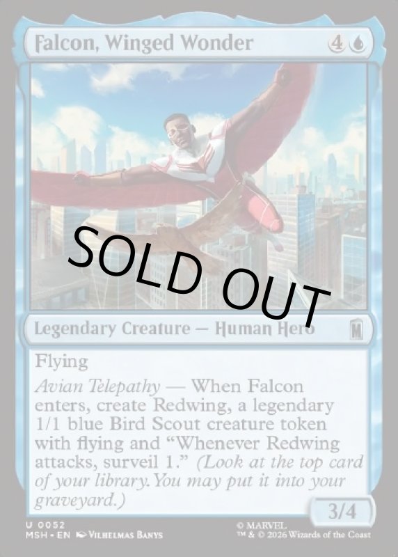 画像2: 翼を持つ戦士、ファルコン/Falcon, Winged Wonder (2)