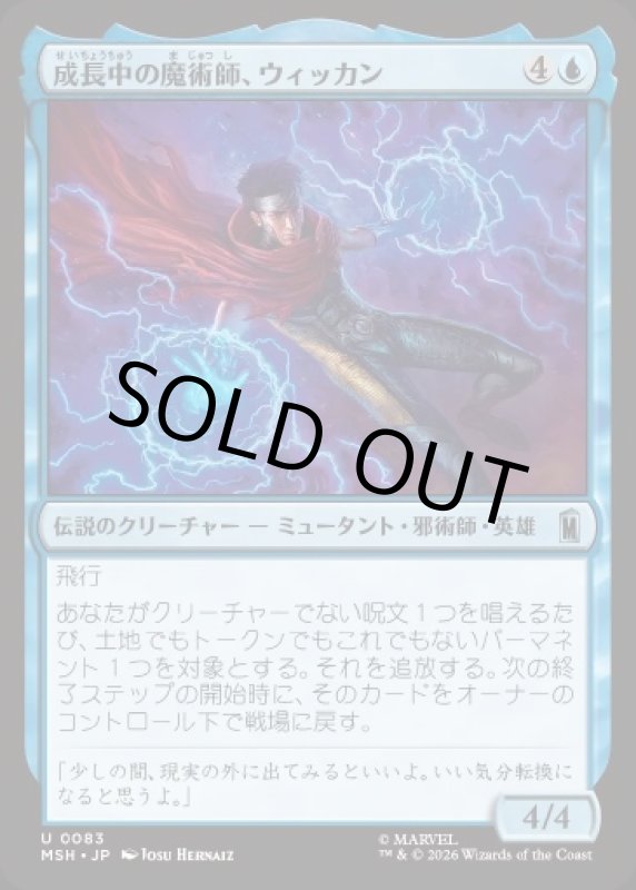 画像1: 成長中の魔術師、ウィッカン/Wiccan, Rising Magician (1)