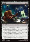 画像1: 囮作戦/Decoy Ploy (1)
