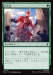 画像1: 巨大化/Giant Growth (1)