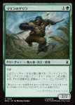 画像1: ゴリラのゲリラ/Guerrilla Gorilla (1)