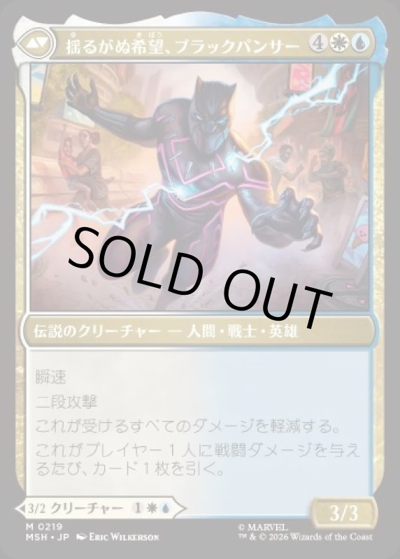 画像2: ティ・チャラ王/King T'Challa (2)