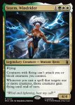 画像2: ウィンドライダー、ストーム/Storm, Windrider (2)
