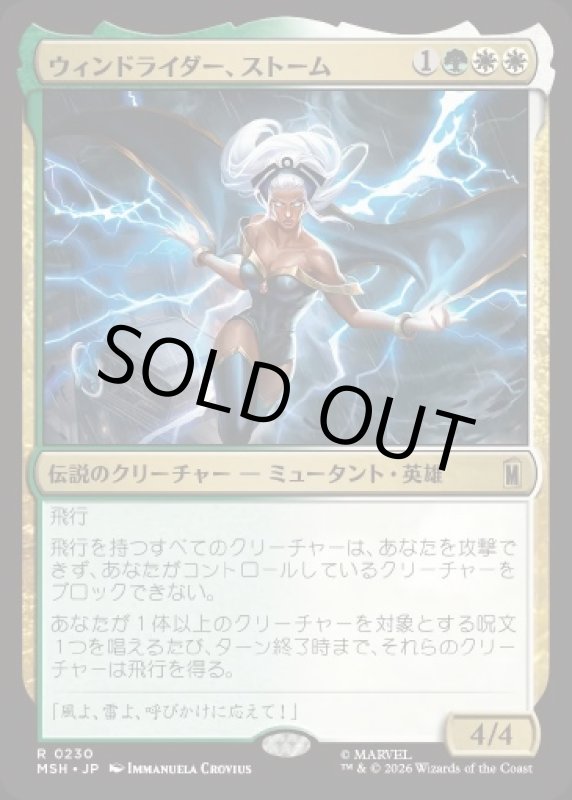 画像1: ウィンドライダー、ストーム/Storm, Windrider (1)