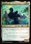 画像1: 先陣を行く者、ブラックパンサー/Black Panther, Vanguard (1)