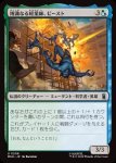 画像1: 博識なる軽業師、ビースト/Beast, Erudite Aerialist (1)