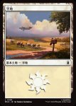 画像1: 平地/Plains (1)