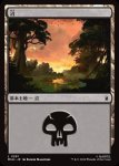 画像1: 沼/Swamp (1)