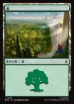 画像1: 森/Forest (1)