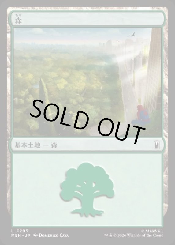 画像1: 森/Forest (1)