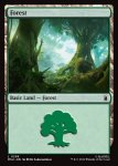 画像2: 森/Forest (2)