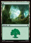 画像1: 森/Forest (1)