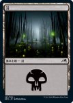 画像1: 沼/Swamp (1)