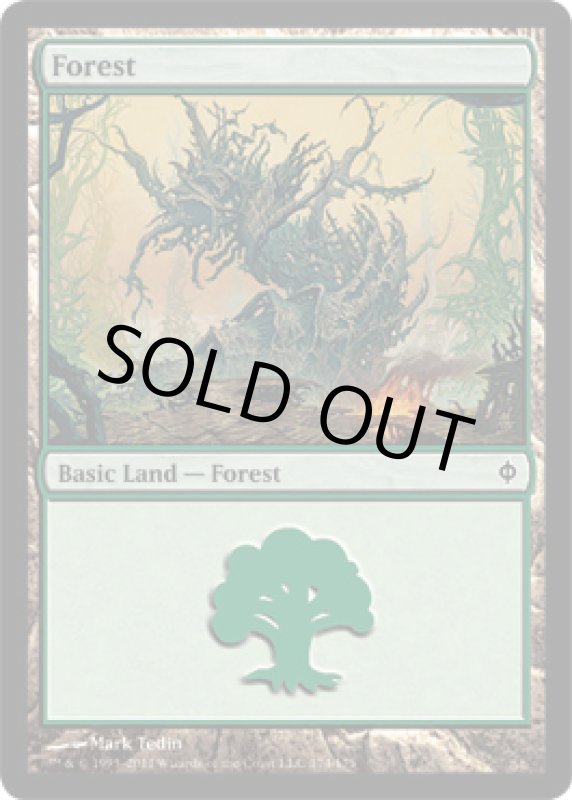 画像2: 森/Forest  (2)