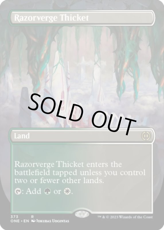 画像2: 【ボーダーレス】剃刀境の茂み/Razorverge Thicket (2)