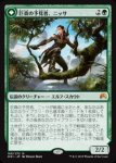 画像1: 巨森の予見者、ニッサ/Nissa, Vastwood Seer　 (1)