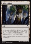 画像1: 進化する未開地/Evolving Wilds　 (1)