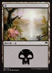 画像1: 沼/Swamp　 (1)