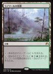 画像1: ラノワールの荒原/Llanowar Wastes　 (1)