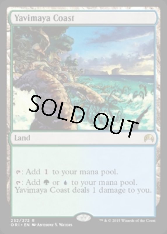 画像2: ヤヴィマヤの沿岸/Yavimaya Coast  (2)