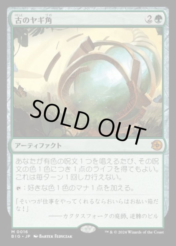 画像1: 古のヤギ角/Ancient Cornucopia (1)